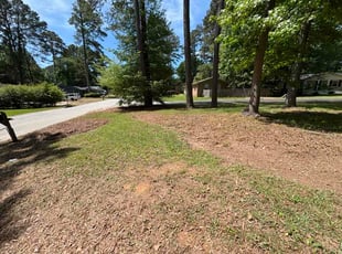 Brandon T.'s turf care service result