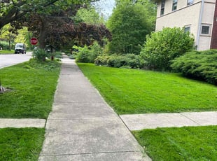 Mauricio A.'s lawn maintenance service result