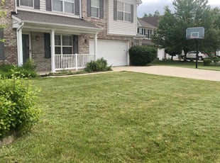 Valerie S.'s lawn care service result