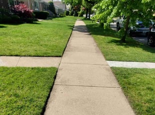 Lydia S.'s lawn service service result