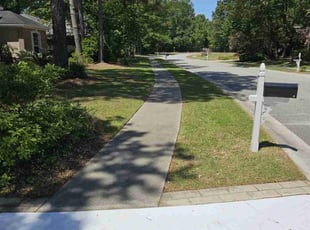 Dominic P.'s lawn care service result