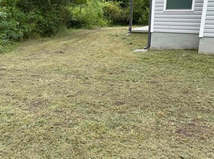 Mohamed I.'s lawn maintenance service result