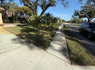 Jim D.'s lawn care services service result
