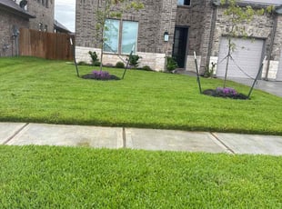 Barbara J.'s yard care service result
