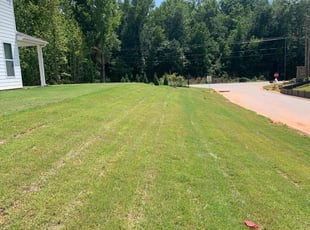 James P.'s lawn care service result