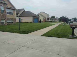 Henry N.'s grass maintenance service result