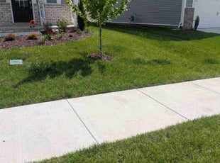 Micheal P.'s lawn care services service result