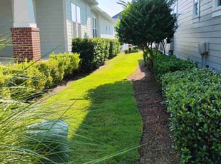 Tracey S.'s turf maintenance service result
