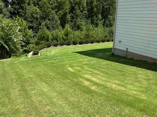 Walter D.'s lawn care services service result
