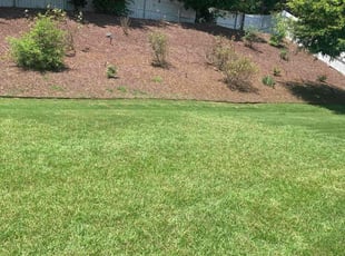 Michelle P.'s lawn care services service result
