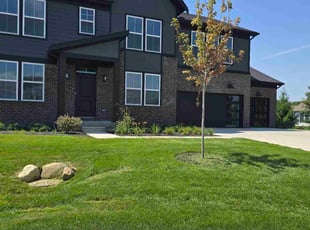 Diane H.'s lawn service service result