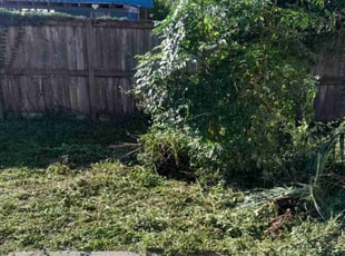 Kaye B.'s Cleanups service result