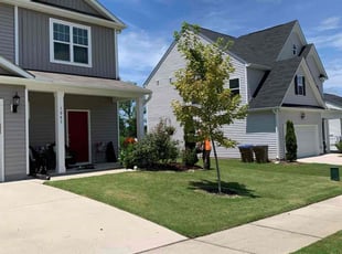 Consuella B.'s lawn care service result