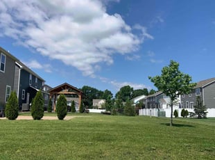 Hashroop G.'s lawn maintenance service result