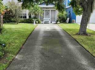 Christina B.'s Long Grass Cleanup service result
