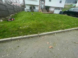 Jiahui J.'s turf care service result