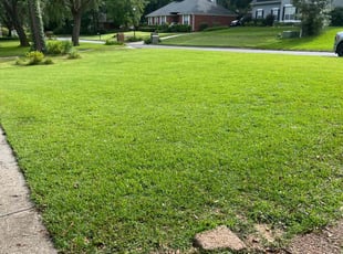 Elizabeth P.'s lawn service service result