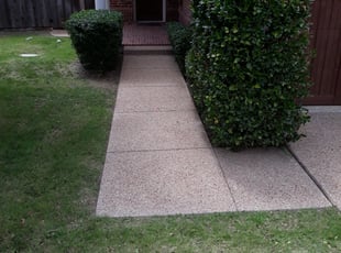 Elizabeth L.'s Bush Trimming service result
