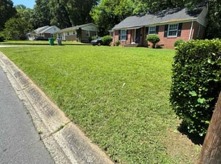William S.'s Cleanups service result