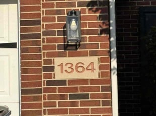 Christi J.'s lawn care service result