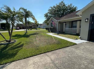 Shelby A.'s lawn care service result