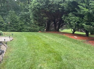 Simon K.'s lawn care services service result