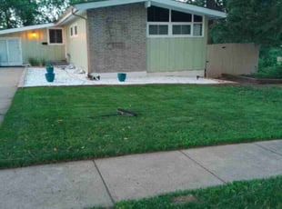 William H.'s grass cutting service result