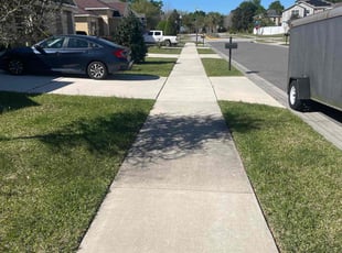 Javier D.'s turf care service result
