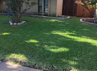Elaina M.'s gardening service service result
