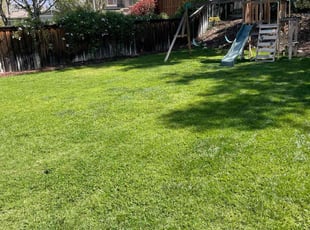 Kaleb A.'s grass cutting service result
