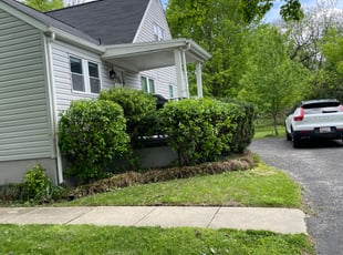 Lisa R.'s Bush Trimming service result
