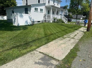Bruce J.'s turf care service result