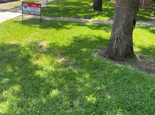 Robert C.'s grass cutting service result