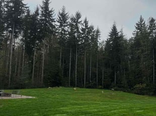 Cameron A.'s lawn care service result