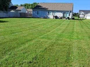 Jesse W.'s lawn care services service result