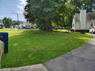 Dinah L.'s turf maintenance service result