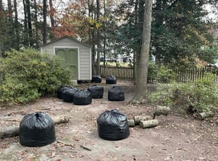 Ginger J.'s Leaf Removal service result