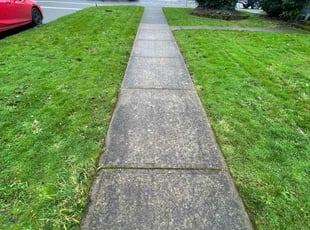 Charles J.'s grass maintenance service result