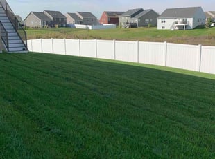 Sue T.'s turf maintenance service result
