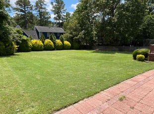 Sharlene H.'s turf care service result