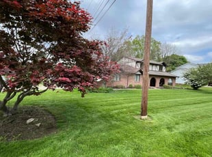 Carla L.'s turf care service result