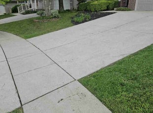 Anna F.'s turf care service result