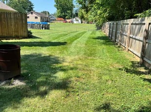 Amber B.'s lawn maintenance service result