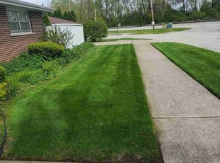 Kimberly C.'s lawn care service result