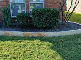 Tierra S.'s Bush Trimming service result