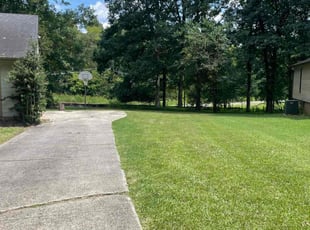Ruth D.'s grass cutting service result