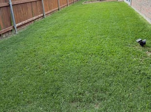 Natalie D.'s lawn service service result