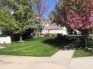 Caleb L.'s Long Grass Cleanup service result