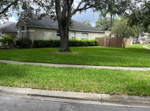 Bethany B.'s lawn service service result