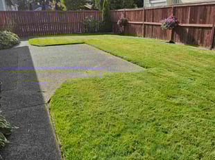Andy R.'s lawn maintenance service result